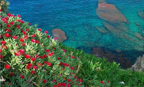 SKOPELOS FERRY TICKETS | Online Ferry & Boat Tickets to Skopelos Island